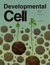 DEVELOPMENTAL CELL雜志封面